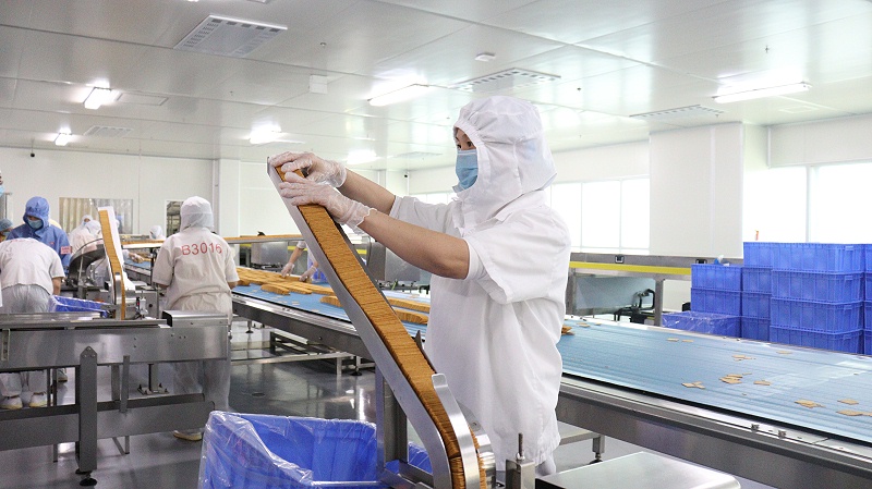 J9����Я�ּ��ѹ��ᷢչ���Ͷ����������� (4)